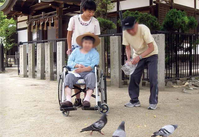 鳥と楽しむ庭