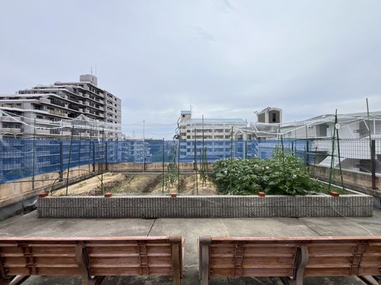 都市の中庭