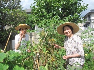 庭で野菜を収穫する人々