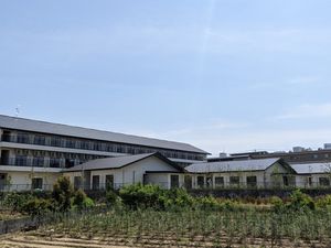 建物と庭の外観  