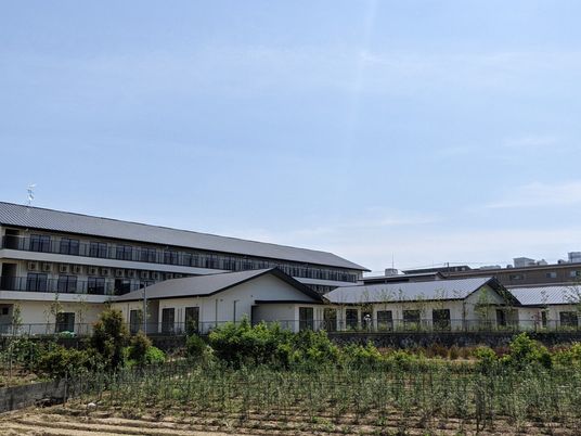 建物と庭の外観  