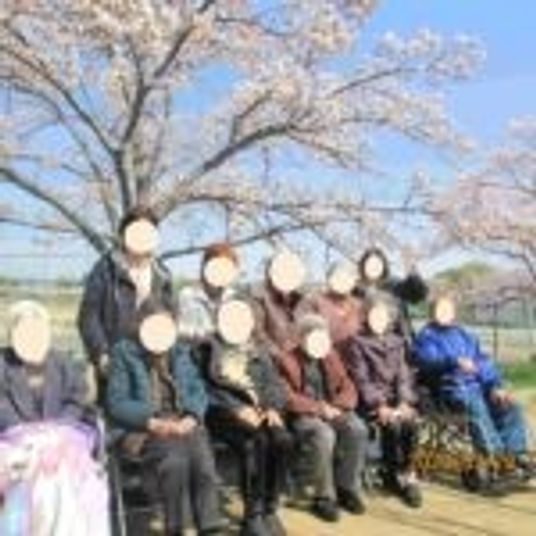桜の木の下での集合写真