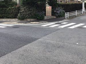 施設前の道路  