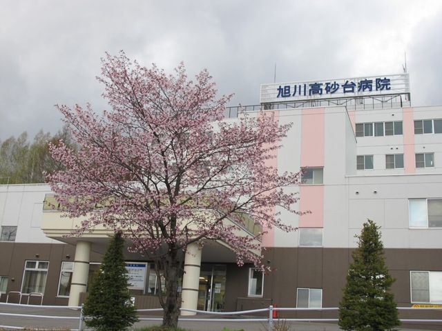 桜と病院の外観 外観   桜が目を引く落ち着いた外観です。入口まわりも広く、来訪しやすい雰囲気です。