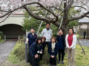桜の下の職員集合  
