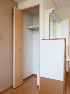木製の洗面台と扉