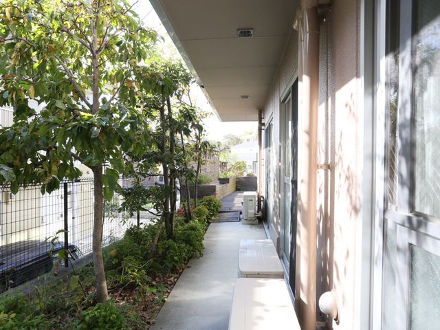 廊下の落ち着いた風景 外観 緑に囲まれた明るい通路です。読書やお散歩にぴったりな穏やかな雰囲気が演出されています。