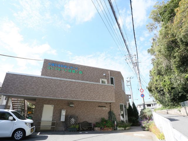 外観の並木道と建物 景観 緑に囲まれた建物前の並木道は、訪れる人々に安らぎを提供しています。清潔感のある建物外観が印象的です。