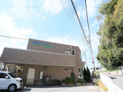 外観の並木道と建物