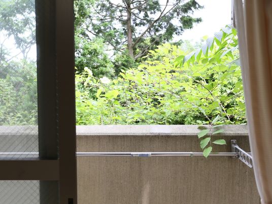 緑溢れる窓の景色