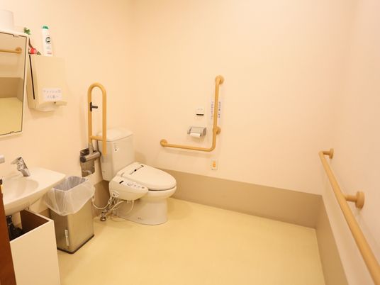 トイレはお一人でも安心してご利用いただけるよう、壁伝いに手すりを設けている。また温水洗浄便座と洗面台が備わっている。