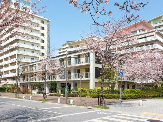 春の桜と共に佇む建物
