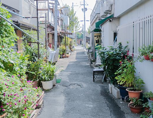 植物が並ぶ小道