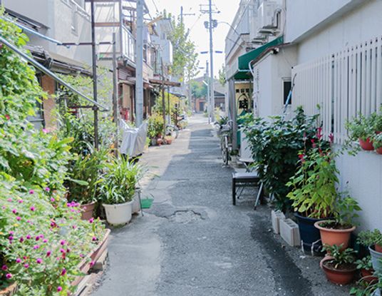 植物が並ぶ小道
