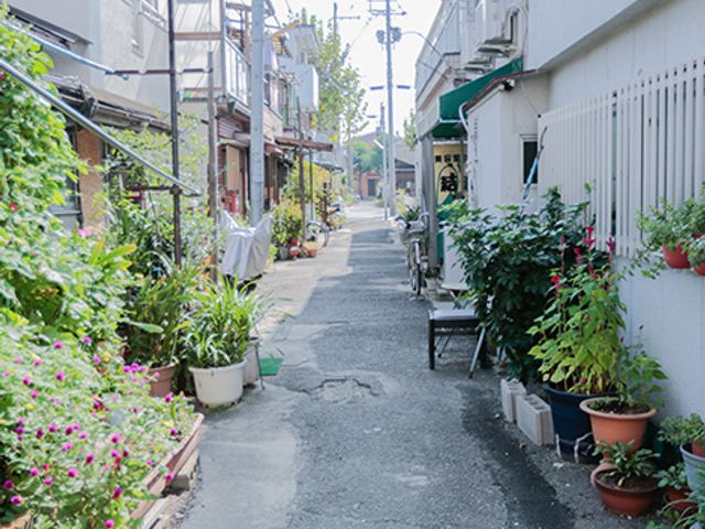 植物が並ぶ小道 庭 色とりどりの植物が並ぶ小道です。散策しながら穏やかな時間を過ごせます。