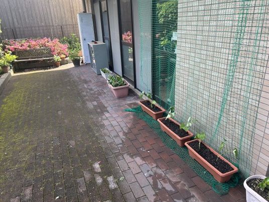 花壇のある中庭  