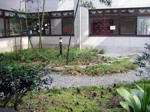 緑が広がる中庭
