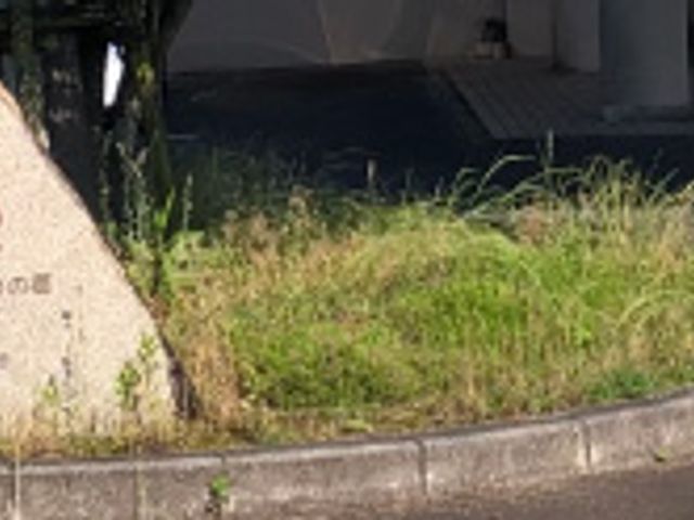 建物前の看板 看板 建物前に設置された看板は、施設名をシンプルに示しています。明確に場所を案内します。