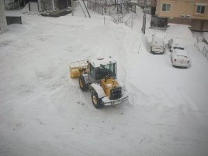 雪の外観  