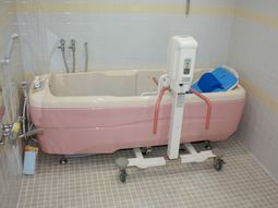 機能的なピンクの浴槽