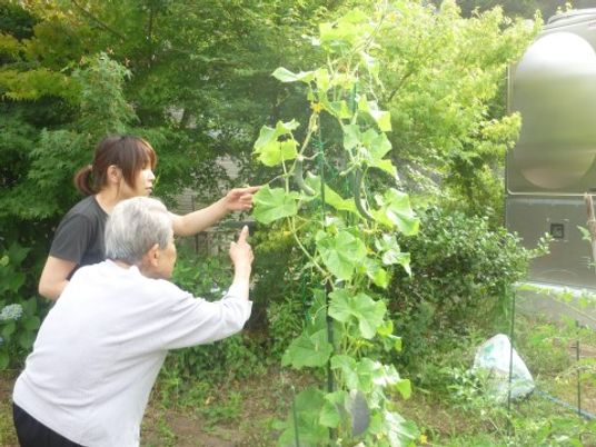 庭で植物を指差す二人