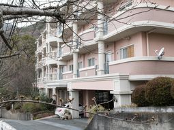 ピンクの建物の外観