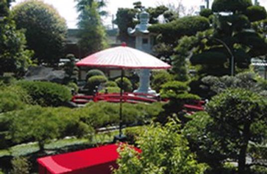 美しい庭園の風景