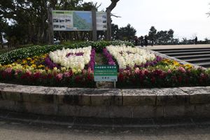 色鮮やかな花壇の庭