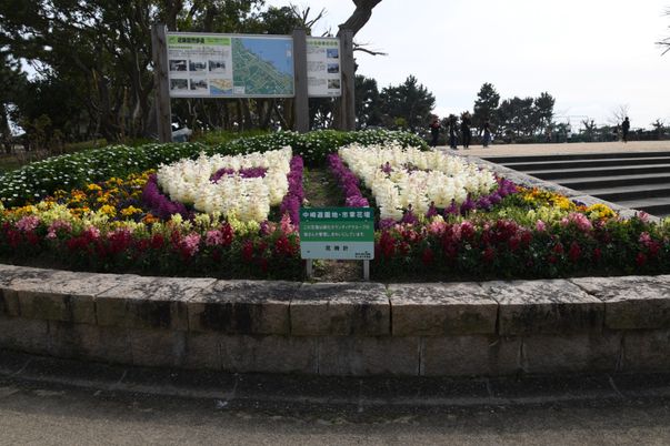 色鮮やかな花壇の庭