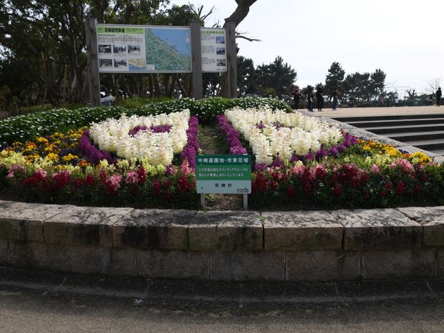 色鮮やかな花壇の庭 庭 四季折々の花が咲き誇る庭です。リラックスや気分転換に最適な環境となっています。