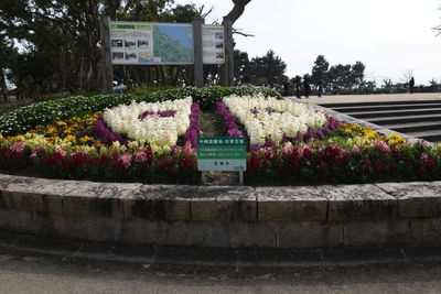 色鮮やかな花壇の庭