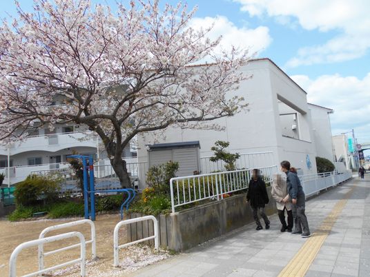 桜が咲く建物の外観