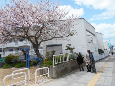 桜が咲く建物の外観