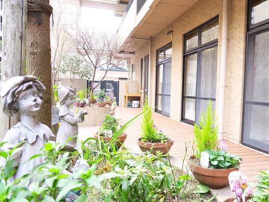 緑豊かな中庭の風景