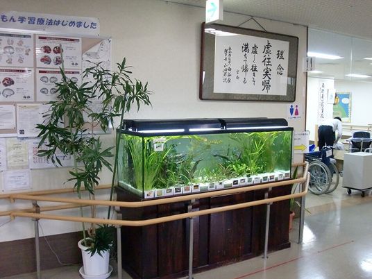 廊下の様子