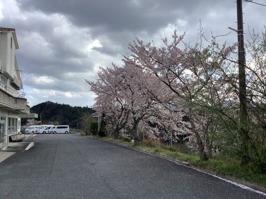 桜並木のある外観  