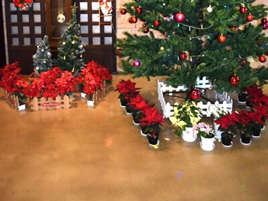 クリスマス装飾のロビー  