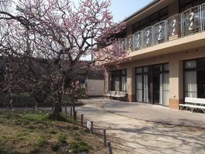 庭と建物