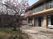 庭と建物