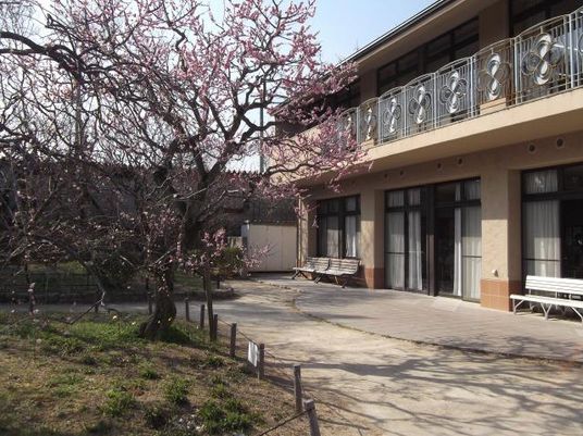 庭と建物