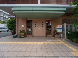 入り口と緑の植物
