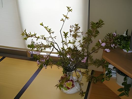 和風の室内