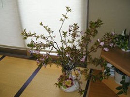 和風の室内