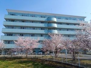 桜と建物の外観  