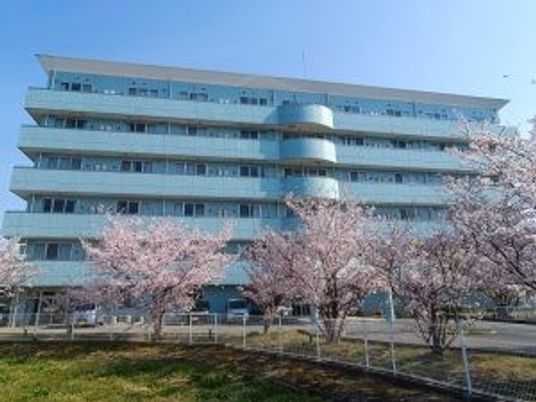 桜と建物の外観  