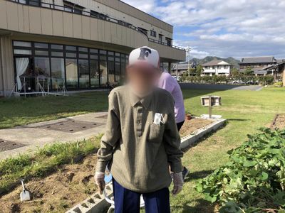 緑豊かな庭