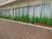 植栽のある外観  
