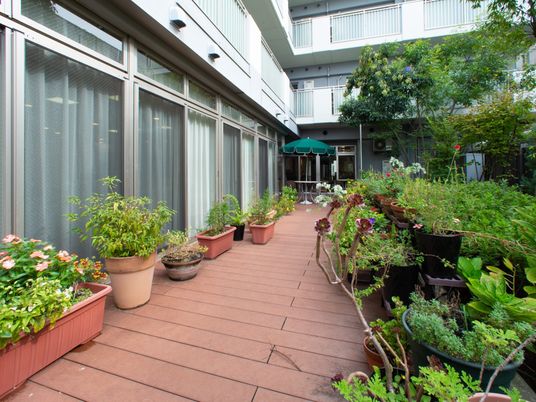 中庭に並ぶ植物たち