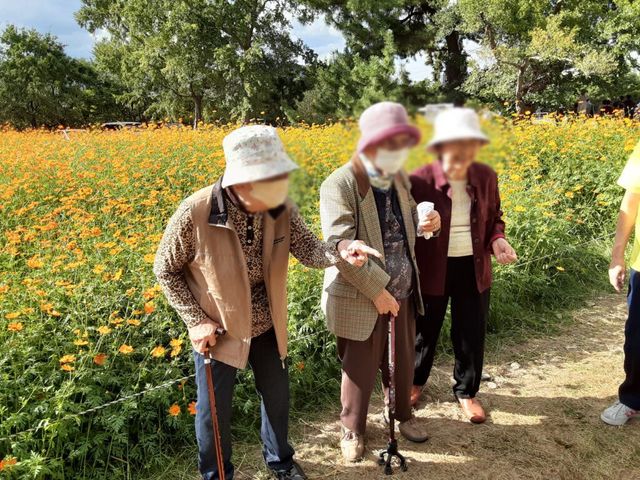 楽しい散策 中庭 施設の庭を散策できる時間です。緑豊かな環境でリフレッシュしながらお話を楽しめます。