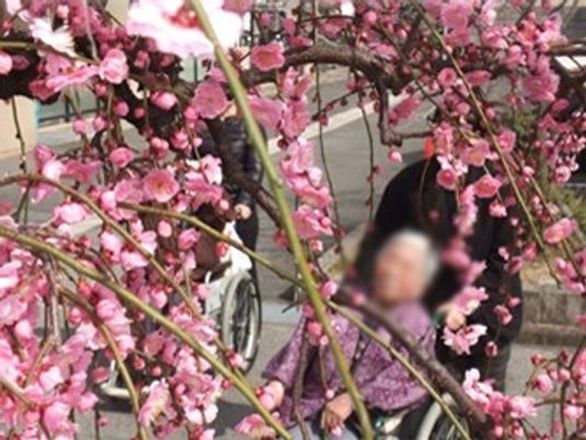 花を楽しむ外の様子